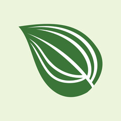 Green leaf icon on white background. Nature symbol. Leaf bones form Allah's calligraphy. nature-themed illustration element design with green leaf nuances