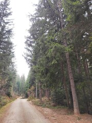 Trebević Mountain, Sarajevo
Trebević is the closest mountain that is reachable via the cable car...