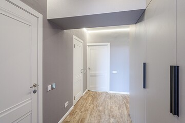 standard room interior apartment. room doors, renovation corridor lobby entrance hall