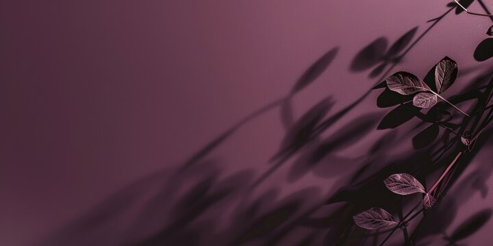 A sophisticated minimalist design on a deep plum background, Minimalist typography and clean lines, Modern minimalist style