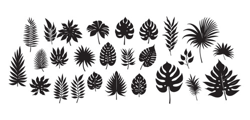 Tropical leaves vector. Set of palm leaves silhouettes isolated on white background. vector set of tropical leaves with a simple silhouette style