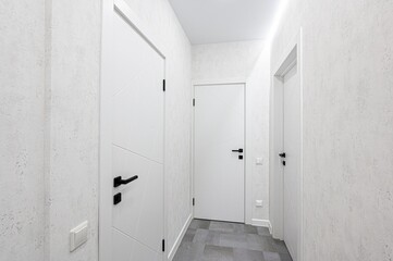 standard room interior apartment. room doors, renovation corridor lobby entrance hall