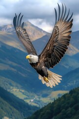 Obraz premium Majestic Bald Eagle Soaring Above Mountainous Terrain