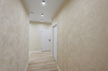 standard room interior apartment. room doors, renovation corridor lobby entrance hall