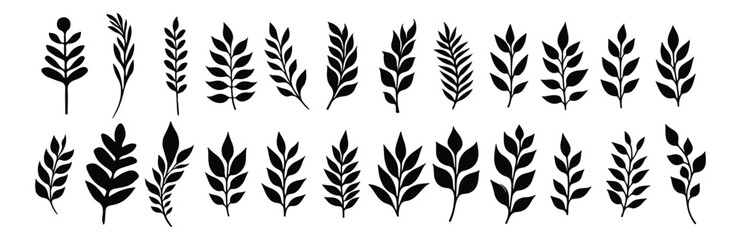 Set of leaves silhouette of beautiful plants, leaves, plant design. Vector illustration .Minimal feminine botanical floral branch in silhouette style. Hand drawn wedding herb, minimalistic flowers 