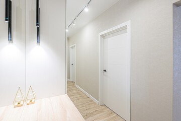 standard room interior apartment. room doors, renovation corridor lobby entrance hall