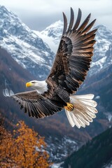 Majestic Bald Eagle Soaring Over Snowy Mountains