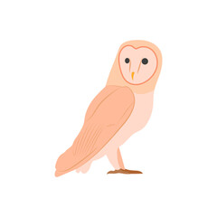 Owl, Diwali, Hindu, Indian Symbol Illustration