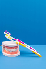 Toothbrush cleaning teeth. Oral hygiene, dentists, preventive dental care, concept of dental health, cleaning routines, and professional dental care essentials.