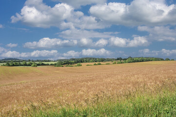 agricultural Farmland in Holstein Switzwerland close to Malente,Holstein Switzerland Nature...