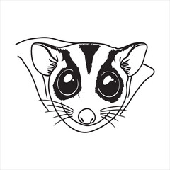 Sugar Glider – Small Exotic Pet with Big Eyes