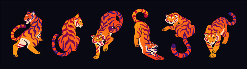 Set of different colourful tigers. Striped big cats are roaring, stretching, baring teeth. Angry Bengal, Amur, Siberian tigris. Wild animals of rainforest, jungle. Flat isolated vector illustrations