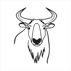 Takin – Rare and Powerful Mountain Ungulate