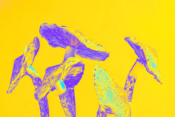 Psychedelic Mushrooms, Abstract Digital Art with Vivid purple and yellow Colors. surreal nature