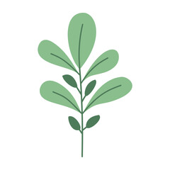 Plant leaf, branch. Icon, vector illustration,