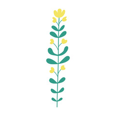Plant leaf, branch. Icon, vector illustration, graphic design, flat style
