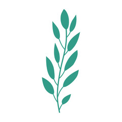 Plant leaf, branch. Icon, vector illustration, graphic design, flat style