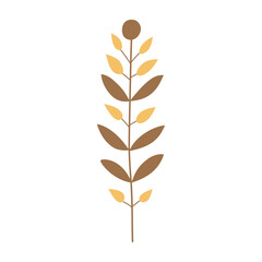 Plant leaf, branch. Icon, vector illustration,brown, beige