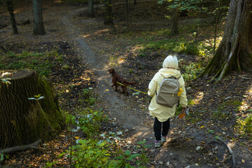 Naklejka premium Woman feet walking the dog in the park forest. travel concept. Wide shot slow motion footage. High quality FullHD footage