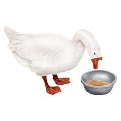 White domestic goose with red beak, and bowl with grain. Watercolor digital illustration. Farm bird eating millet and oats, isolated on white background. Easter, village and farm theme, for kitchen