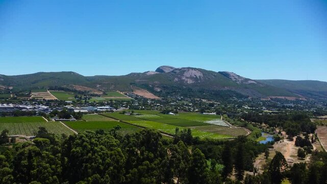 Camera rising up behind trees to reveal Paarl Town South Africa with the iconic Paarl rock behind the town 4K Aerial Video