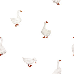 White domestic goose with red head and feet, seamless pattern. Watercolor digital illustration. Cute farm bird isolated on white background. Easter, spring, village and farm theme, for kitchen