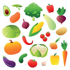 Collection of fresh vegetables, vector illustration, Includes avocado, pumpkin, corn, cabbage, tomatoes, carrots, onions, eggplant, chili peppers and more. Ideal for healthy food concepts, recipe book