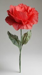 Obraz premium Elegant coral rose blossom with green leaves against a soft gray backdrop in a studio shot