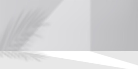 White Background with shadow, light from window on wall grey studio room for product present for Summer banner,Background abstract texture spring bright light, shadow leaves on floor