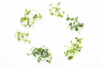 Sprouting microgreens at home. Heaps of germinated microgreens pea, top view. Vegan and healthy eating.