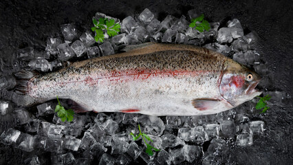 Cutting fresh fish before cooking.