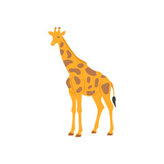 Fototapeta premium Giraffe, African Symbols Illustration
