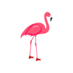 Flamingo, African Symbols Illustration