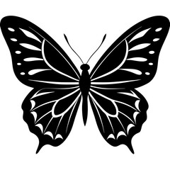 black and white butterfly
