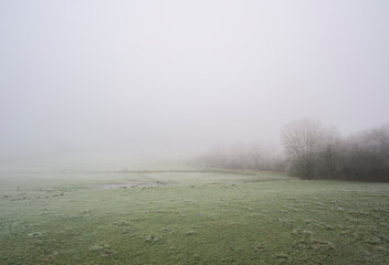 Foggy weather with frozen grass on field