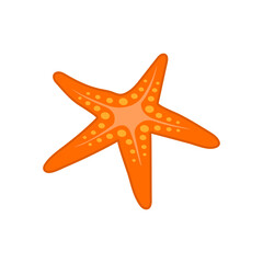 Obraz premium Star FishSeafood Vector Illustration, Isolated