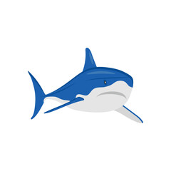 Obraz premium SharkSeafood Vector Illustration, Isolated