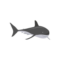 White SharkSeafood Vector Illustration, Isolated