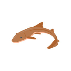Nurse SharkSeafood Vector Illustration, Isolated
