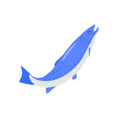 Atlantic SalmonSeafood Vector Illustration, Isolated