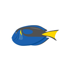 Blue TangSeafood Vector Illustration, Isolated