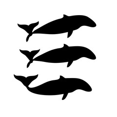 Fototapeta premium Minimalist Whale Vector Bundle - Perfect for Logos, Apps, and Marine Life Projects