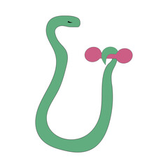 Snake doing fitness, sport. Funny icon of a snake holding a pink dumbbell . Flat illustration