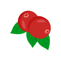Cranberry , Autumn Isolated Vector Illustration