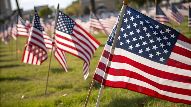 american flag on the ground,Patriotic Display of American Flags
