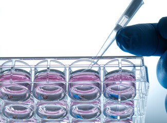 Pipetting cells into growth medium in a biomedical research setting