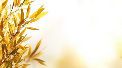 Gentle Sunlit Bamboo Leaves Against Soft Blurred Background