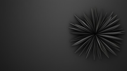 Abstract black starburst design on dark background for modern art and minimalist projects