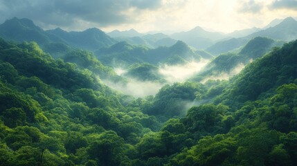 Naklejka premium Misty mountain range with lush green forests and valleys bathed in sunlight.