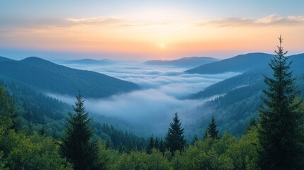Fototapeta premium Misty mountain sunrise landscape with evergreen trees.